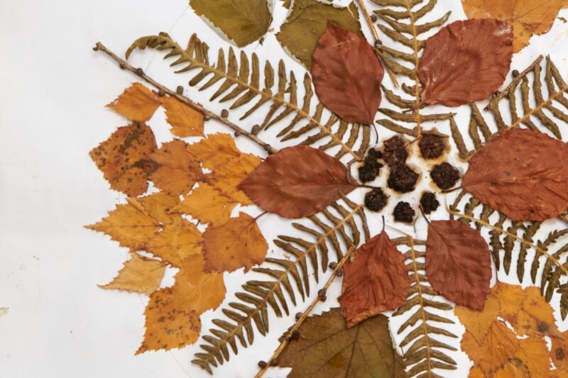 Rooted Creative Reflective Programme