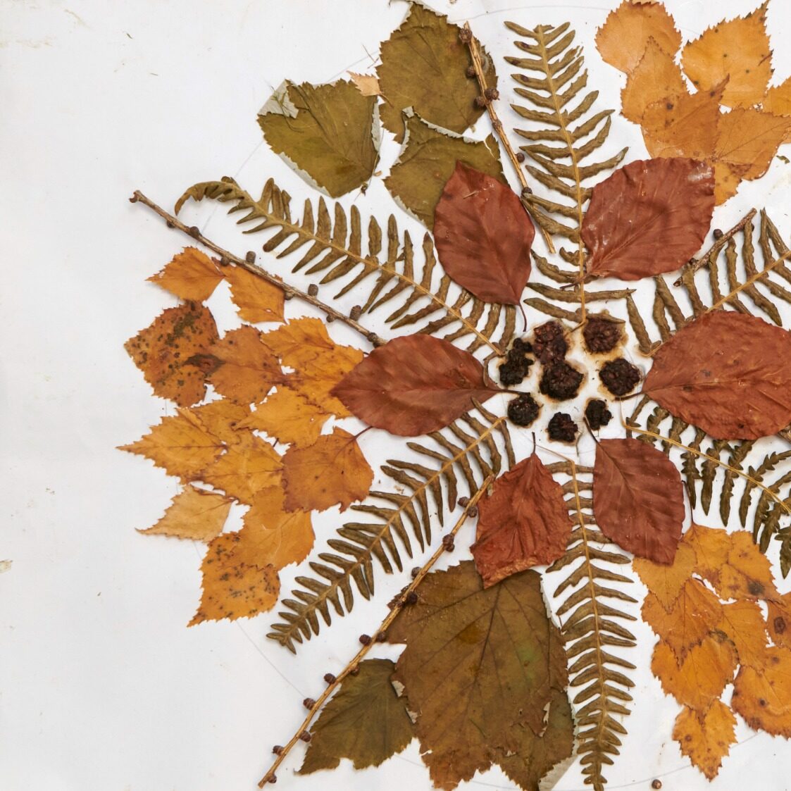 Rooted Creative Reflective Programme
