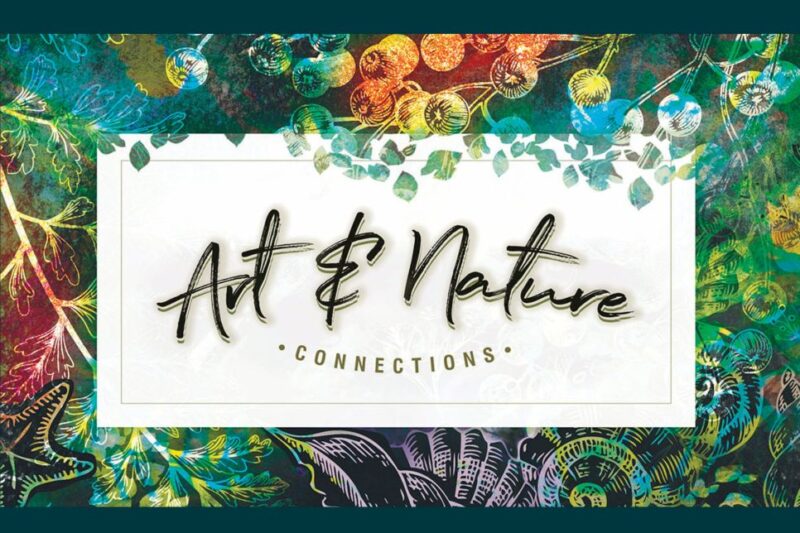 Art & Nature Connections Book
